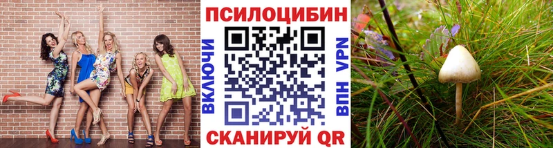 как найти   Тарко-Сале  Галлюциногенные грибы мицелий 