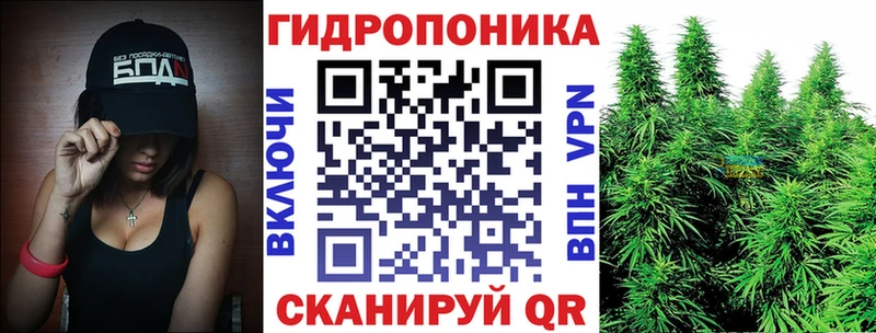 МАРИХУАНА гибрид Тарко-Сале